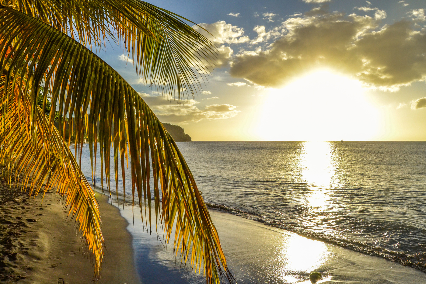 Dominica Island Sunset